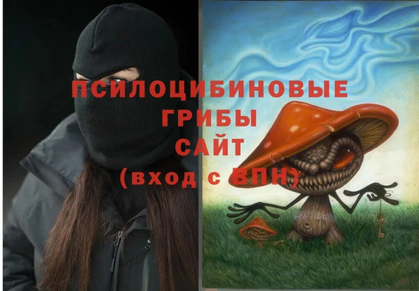 амф Бородино