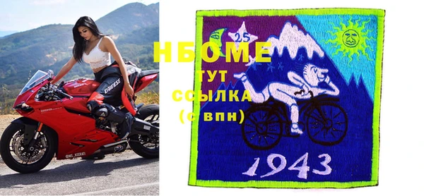 амф Бородино