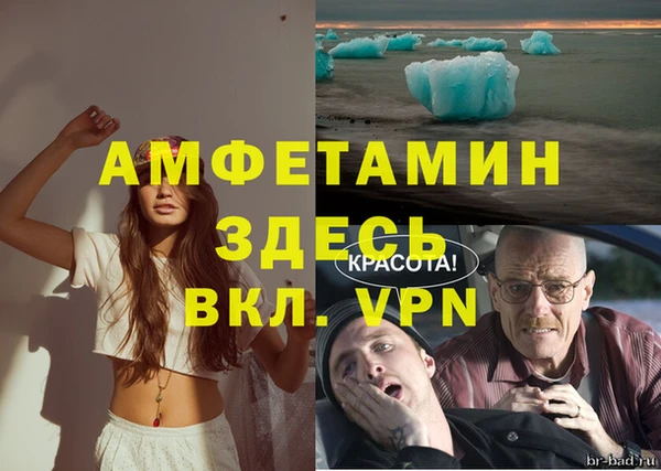 амф Бородино