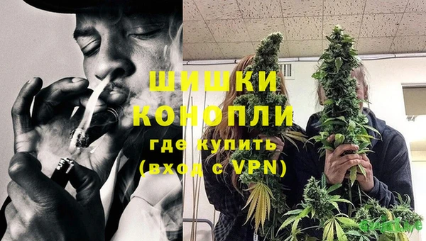 амф Бородино