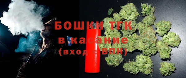 амф Бородино