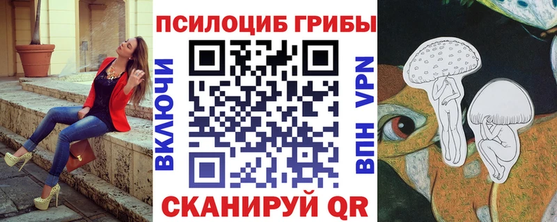 Галлюциногенные грибы Psilocybine cubensis  Волжский 